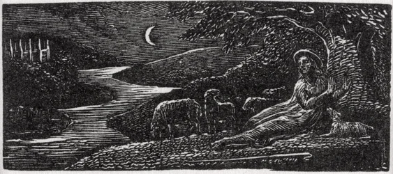 ソーントン博士の「バージルの牧歌的世界」のイラストによる、夜のケンブリッジで休むコリネット